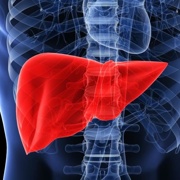 551518_822173347830816_1961614589077700825_n