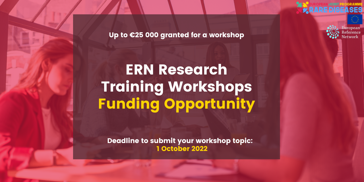 ERN Research Training Workshops (2)