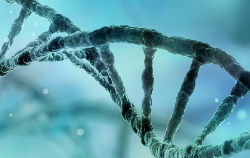 gene-tech-project-image-e1644934290165-950×600